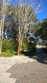 Enlarge photo 91