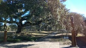 Enlarge photo 92