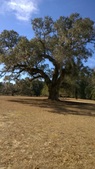 Enlarge photo 105
