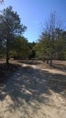 Enlarge photo 108