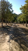 Enlarge photo 109