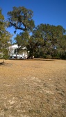 Enlarge photo 110