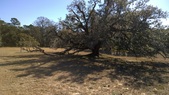 Enlarge photo 111