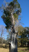 Enlarge photo 113