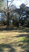 Enlarge photo 114