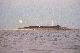 Charleston Moon