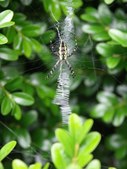 Enlarge photo 15