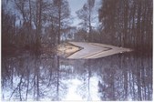 Swampstuff