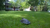 Enlarge photo 4