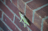 Enlarge photo 25
