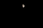 Enlarge photo 39