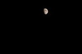 Enlarge photo 40