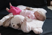 Enlarge photo 30