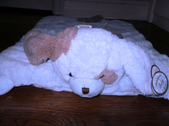 Enlarge photo 27