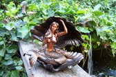 Enlarge photo 35