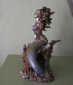 Enlarge photo 10