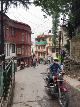 Enlarge photo 42