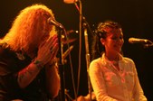 Enlarge photo 40