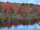 Enlarge photo 26