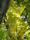 Enlarge photo 29