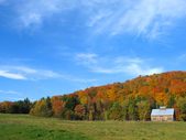 Enlarge photo 36