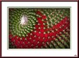 Enlarge photo 59