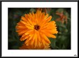 Enlarge photo 47