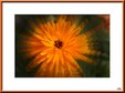 Enlarge photo 46