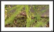 Enlarge photo 48