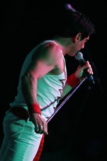 Enlarge photo 154