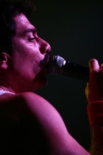 Enlarge photo 175