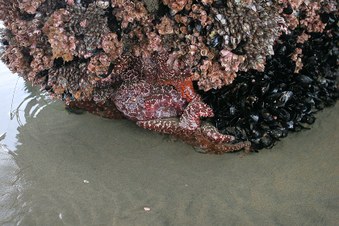 Enlarge photo 19