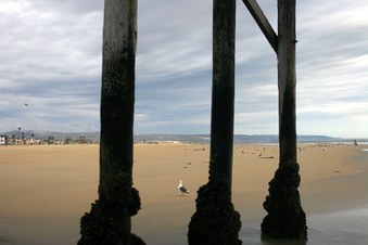 Enlarge photo 20