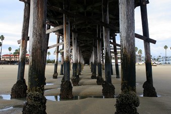 Enlarge photo 25