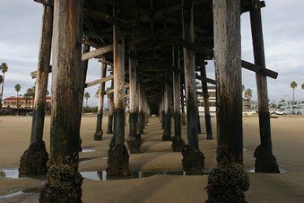 Enlarge photo 26