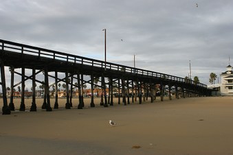 Enlarge photo 29