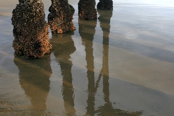 Enlarge photo 30