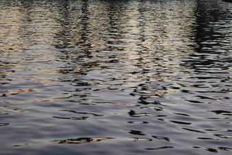 Enlarge photo 1