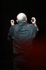 Enlarge photo 298