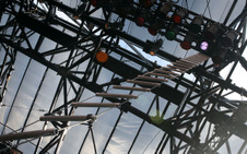 Enlarge photo 323