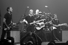 Enlarge photo 135