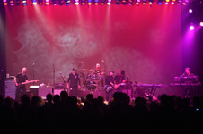 Enlarge photo 153