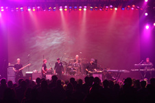 Enlarge photo 154