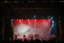 Enlarge photo 159