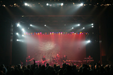 Enlarge photo 161