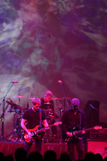 Enlarge photo 206