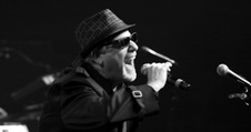 Enlarge photo 216