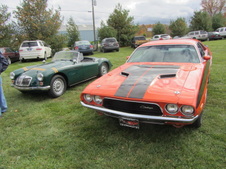 Enlarge photo 46