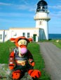 LIGHTHOUSE VISITS