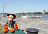 Fun Places Tigger Visited